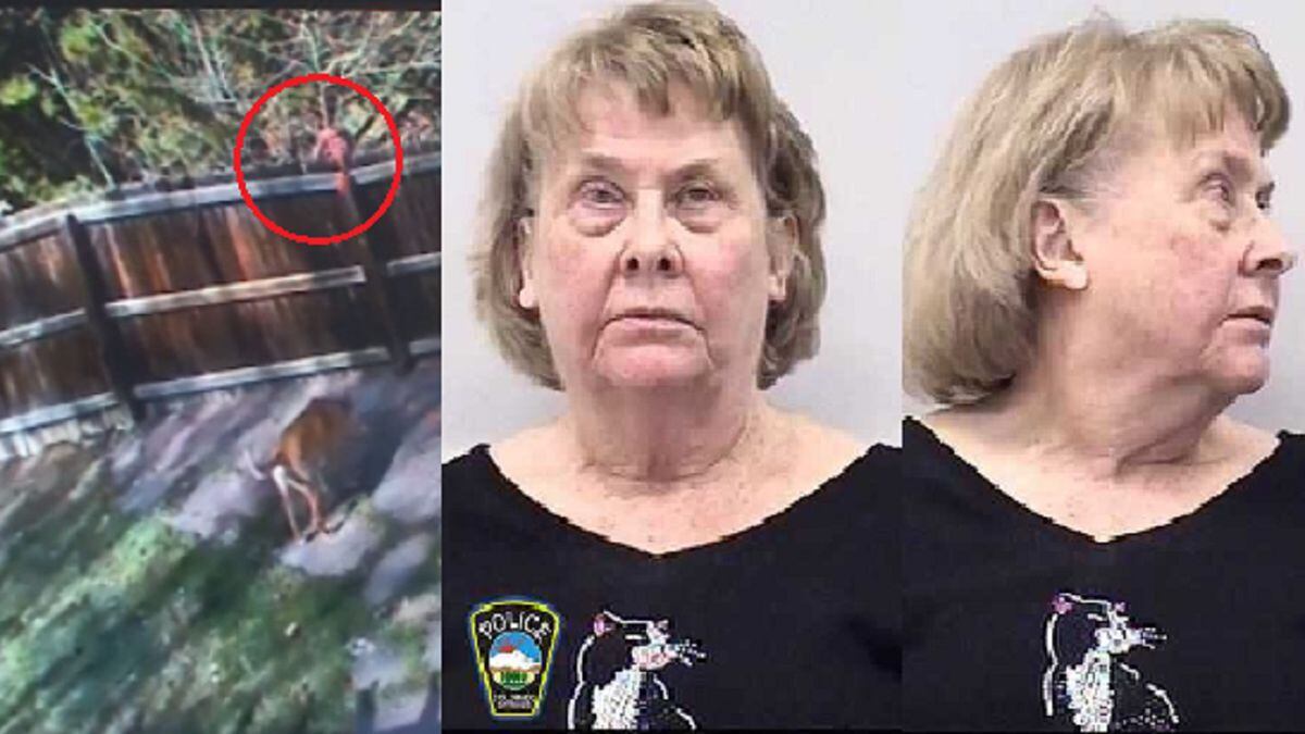 Photo on the left is surveillance of a person dropping something over a fence into a neighbor's yard, courtesy the Humane Society of the Pikes Peak Region. Photo on the right is the suspect, Margaret Werker, courtesy the Colorado Springs Police Department. Photos released publicly on 7/18/19.